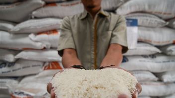 Badanas Reminds Prabowo: Rice Reserves Ahead Of The Pilkada Must Be Above 2 Million Tons