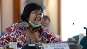Menteri LHK Siti Nurbaya Tetap akan Hentikan Perizinan Baru Sawit