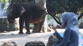Ragunan And Several Tourist Attractions In Jakarta Closed September 14th
