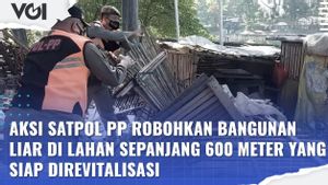 VIDEO: Aksi Satpol PP Robohkan Bangunan Liar di Lahan Sepanjang 600 Meter yang Siap Direvitalisasi