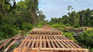 Polisi Sita 300 Kubik Kayu Hasil Pembalakan Liar di Inhu Riau