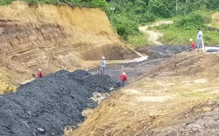 Ditjen Minerba ESDM Selidiki Tambang Tanpa Izin di Sumatera Utara