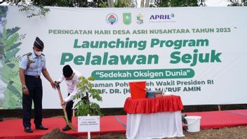 Sambil Berpantun, Wapres Menanam Pohon Kelengkeng di Riau