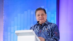 Airlangga Calls Regulatory Alignment A Challenge In Accessing OECD
