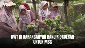 Kelompok Tani Wanita di Karanganyar Banjir Orderan untuk MBG