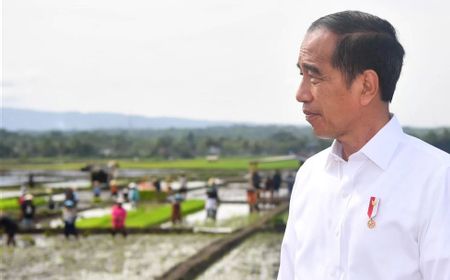 Luhut Akui Dapat Tugas Baru dari Jokowi, Apa Itu?