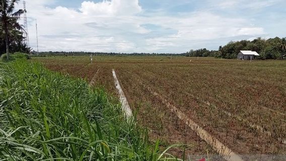 極端な干ばつの季節に入り、バントゥルは農地の干ばつを見越してウォーターポンプを準備します