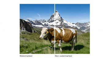Google Cloud And DeepMind Launch Auto Watermark Maker Tools For Images Produced By AI
