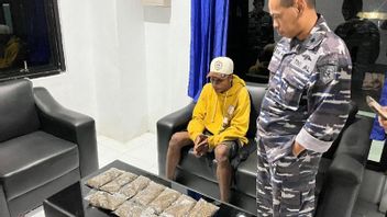 Soupçonné de Bag Ransel, Lanal Nabire arrêté un passager de KM Lab Bar apportant 10 paquets de marijuana