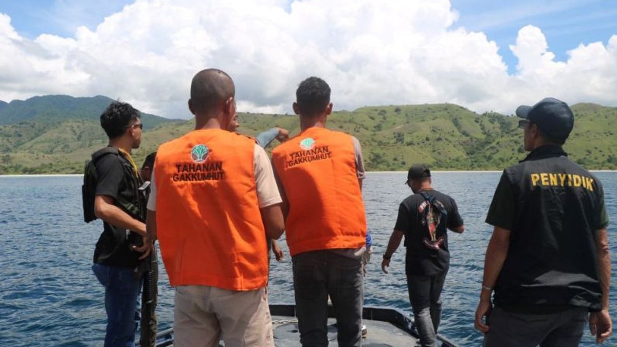    Kemenhut Proses Hukum Pemburu Liar Bersenjata di TN Komodo