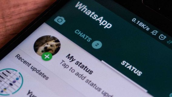 Begini Cara Mendownload Status WhatsApp Teman