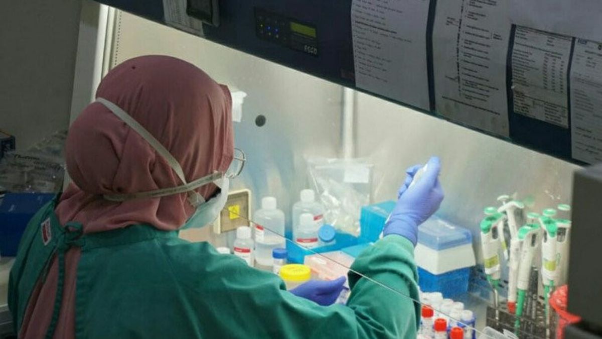 Positive Cases Of COVID-19 In East Kalimantan Increase By 1,608 People