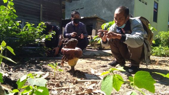 Initialement Apparu Odeur Désagréable, Il Tourne Fleurs Charognes Poussent Dans Les Maisons Des Gens, Maintenant Beaucoup Viennent