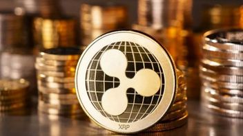 Ripple Has a Great Chance to Win Against the SEC, Here's Why!