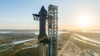 Starship Could Launch Several Starlink 2 Satellites Weighing 1.2 Tons