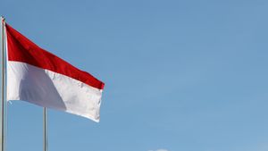 Tahun 2024 Indonesia Bakal Punya 2 Presiden Selama 8 Bulan, Ada yang Jadi 'Bebek Lumpuh'
