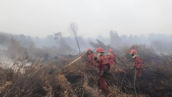 BRIN: Kegiatan Antropogenik Picu Kebakaran Hutan dan Lahan