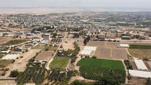 10 Pemukim Israel Bertopeng Aniaya 4 Aktivis Pro Palestina Warga Italia-Kanada di Tepi Barat