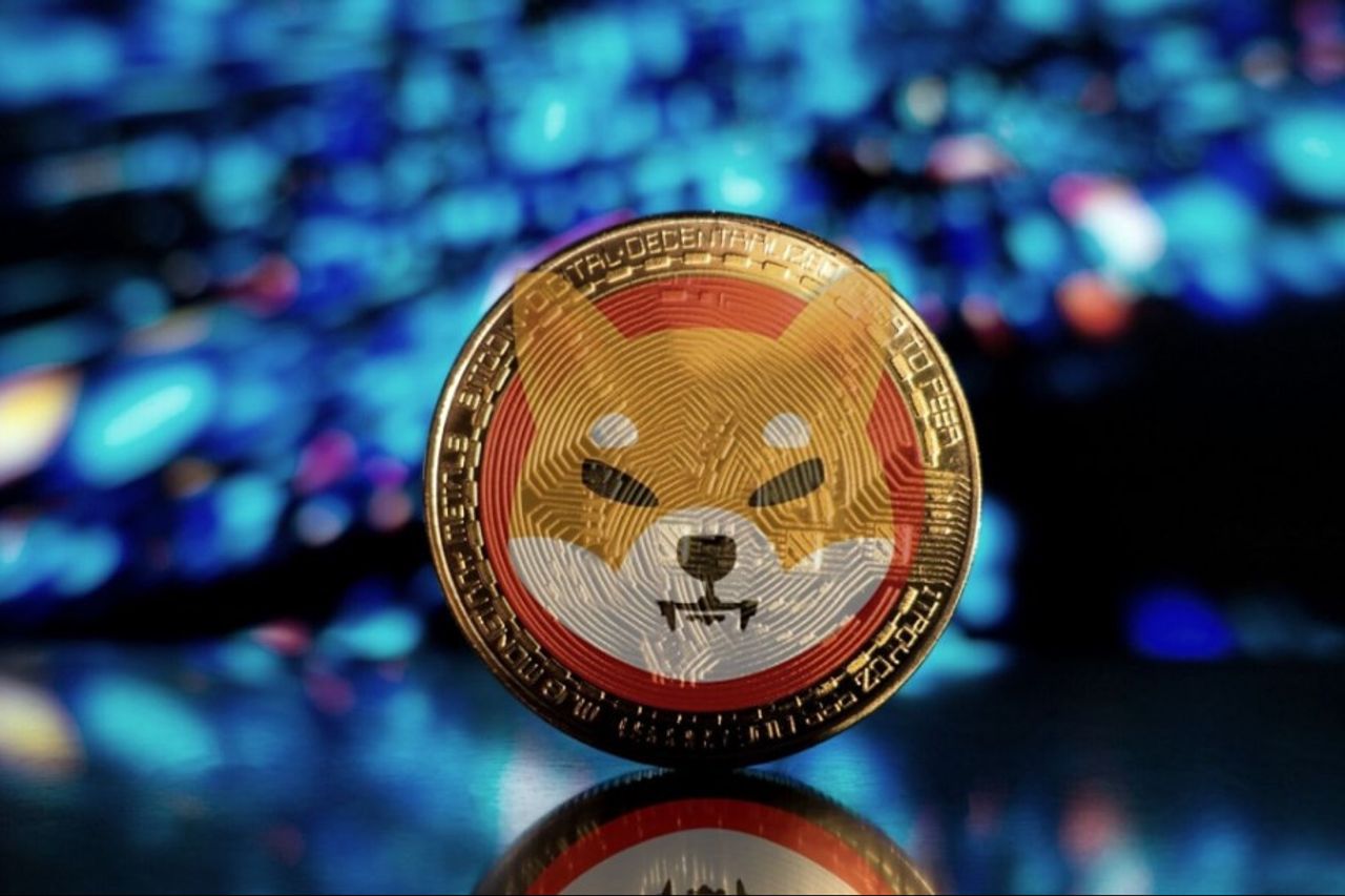 makin popular shiba inu jadi hadiah perayaan dipavali di negeri bollywood - lensaindonesiacom on where can i buy shiba inu coin in india