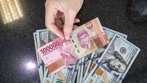 2026年初めに違法な951人のピンジョルを根絶するPASTIタスクフォース