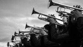 Alat Musik yang Menggunakan Udara sebagai Sumber Bunyinya