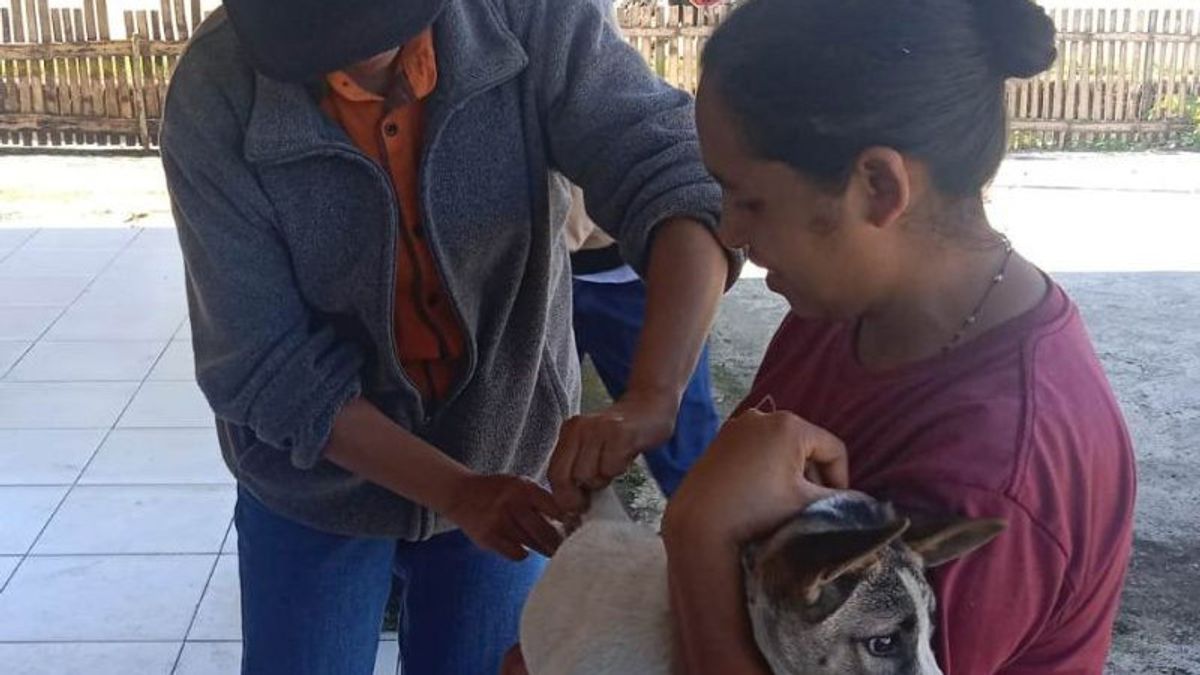 NTTガダ家畜サービス緊急予防接種4,213犬狂犬病を予防