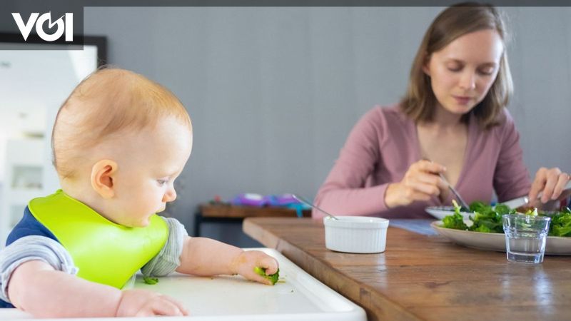 Cara Membuat Makanan Bayi 6 Bulan untuk Kecerdasan Otak, Ini Referensinya