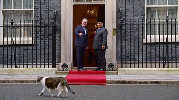 ラリーの猫がイギリス首相のオフィスでプラボウォ大統領の到着を歓迎する
