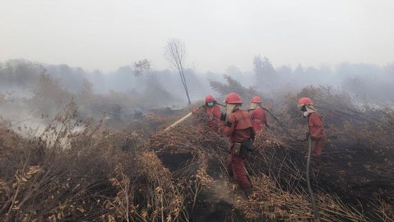 Manggala Agni的Jungkal Sumsel村的森林和陆地火灾扑灭2个月,需要根据风力排放时间安排