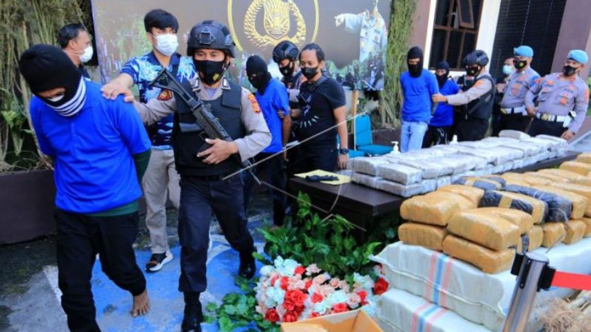 Punya Ladang Ganja di Aceh, Polri Sita Ganja Kering Seberat 528,55 Kg dari Pelaku