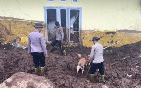 Cari Korban Banjir Bandang Ternate, Polisi Kerahkan Anjing Pelacak