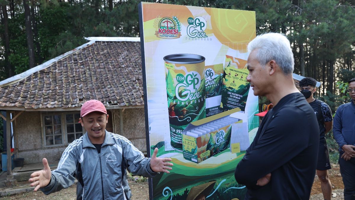 赋予Gunung Gede Foot Youth的权力,Ganjar GP品牌茶厂的启动