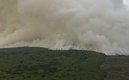 Tim Gabungan Turun Tangan Padamkan 25 Hektare Kebakaran Hutan di Bengkalis Riau