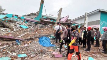 Une équipe De R-S Déploie Des Chiens Renifleurs Pour Aider à évacuer Les Victimes Du Tremblement De Terre De Mamuju