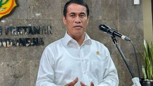 Mentan Amran Sebut Hilirisasi Kelapa Bisa Bikin Indonesia untung Rp2.400 Triliun per Tahun