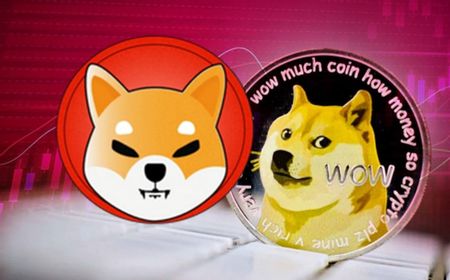 Kaleidoskop 2021: Bangkitnya Koin Meme, Mulai Dari Dogecoin (DOGE), Shiba Inu (SHIB), Baby Doge Coin (BABYDOGE), Hingga Dogelon Mars (ELON)