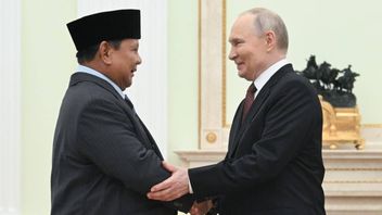 プーチン大統領、ロシアとインドネシアの経済貿易協力は今年17%増加したと称賛