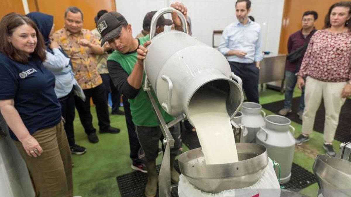 PKB Criticism Of Tax Free Milk Import Policy: Don't Make It Difficult For The People!