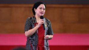 Berduka 4 Perwira TNI AU Gugur, Puan Tekankan Besarnya Pengabdian Prajurit Jaga NKRI