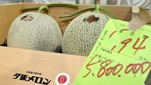 ウオウ、北海道メロン2個が日本で10億ルピア近く売れる