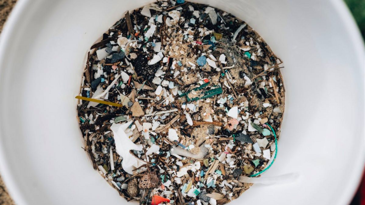 Waspada Bahaya Mikroplastik di Lingkungan Sekitar, Ini 3 Cara untuk Mencegah Paparannya