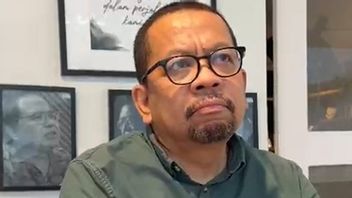 Bakomの責任者は、Seskab Teddyに関するアミエン・ライスの声明に懸念を示した