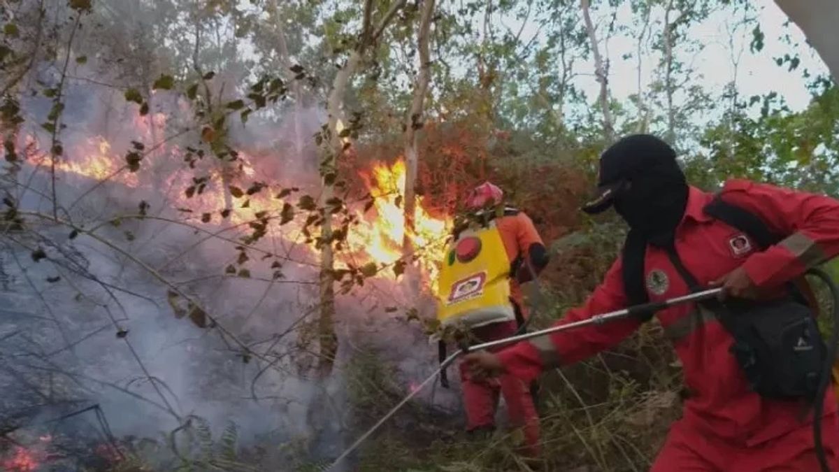 Masuk Musim Kemarau, Pemda Sumbar Mulai Antisipasi Kebakaran Hutan