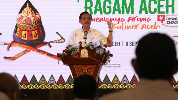 Varian Delta Muncul di Aceh, Pesan Luhut ke Gubernur Nova: Jangan Biarkan Isolasi Mandiri