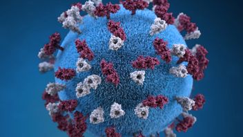 ジョグジャカルタで発見されたCOVID-19の1つの陽性症例、患者は回復しました