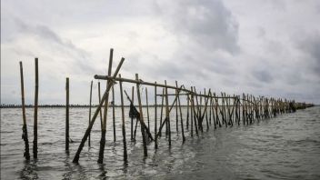 Minister Of KKP Calls Sea Fences Structured That Will Become Mainland