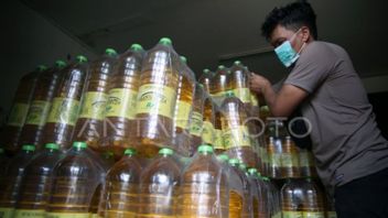 Bulog Asked to Distribute 7 Million Liters of Minyakita, Buwas: Not Yet Appointed Distributor