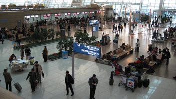 10 Ton Kimchi yang Disita di Bandara Incheon Sepanjang Tahun Lalu Disumbangkan ke Badan Amal