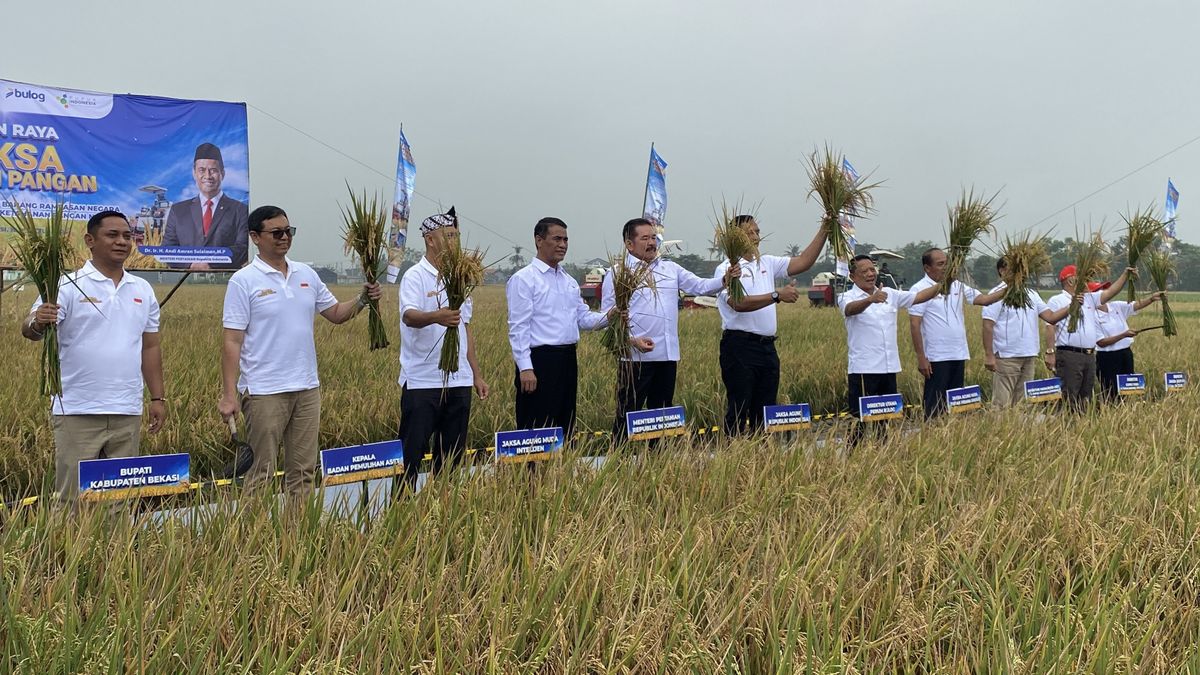 Lahan Sitaan Benny Tjokrosaputro Disulap jadi Sawah, Bisa Hasilkan Panen 2.640 Ton Gabah