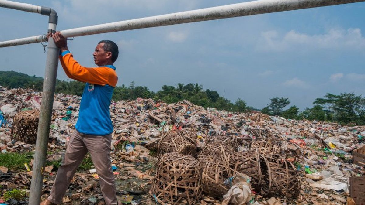 Program Bulan Cinta Laut, KKP Bersih-bersih di Pantai Teleng Ria Pacitan Hingga Terkumpul 1,4 Ton Sampah